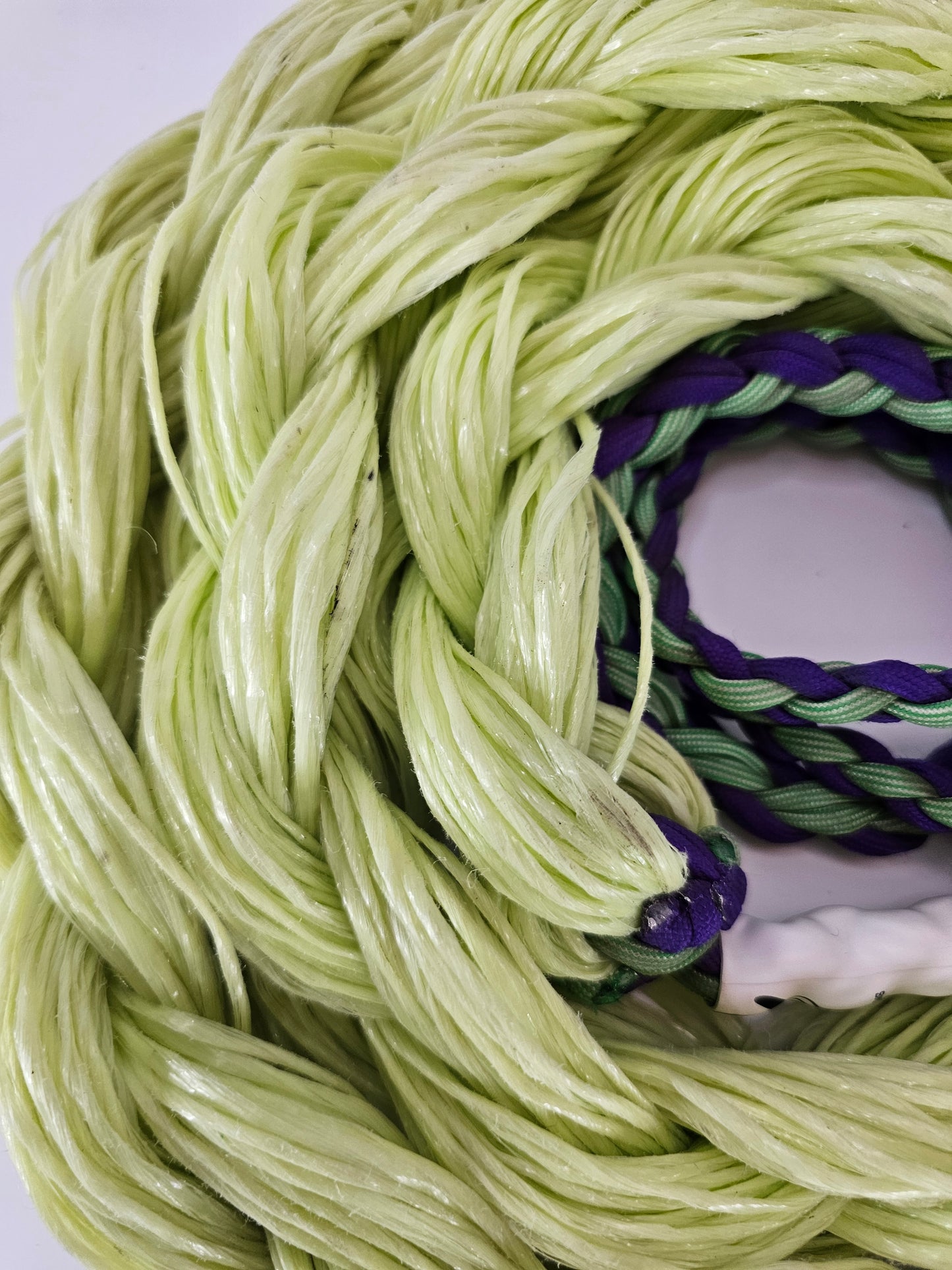 Toxic Swagger – Custom Bronc Rein